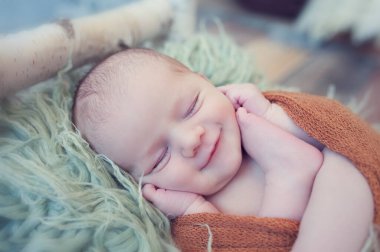 Yeni doğmuş bir kız ya da erkek bebek kahverengi bir naylona sarılıp huş ağacında uyuyor..