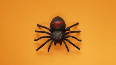 Turuncu arka planda siyah saat mekanizmalı plastik oyuncak örümcek, yakın plan. Ölüler gününü kutlamaktan başka, Cadılar Bayramı. Top view, flat lay, copy space.