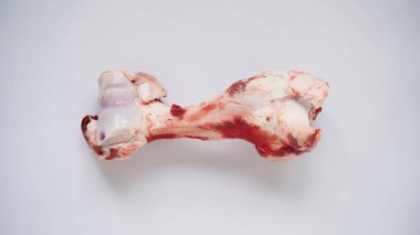 Büyük çiğ kemik, beyaz arka planda büyük hayvan ineği ya da domuz, üst manzara, kopyalama alanı. Çorba pişirmek için kemik. Köpekler için yiyecek. Boşluğu kopyala