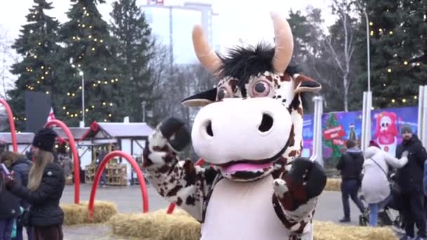 Plush Cow Mascot Välkomnar Människor City Holiday Carnival Stor Plysch — Stockvideo