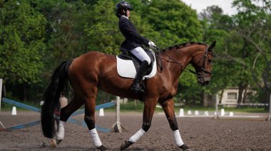 Binicilik spor müsabakasında kahverengi ata binen genç bir kız. Arenada ata binmek. Dressage testi. Binicilik yarışmaları, at yarışları. Güneşli bir yaz gününde ata binen kız jokey.