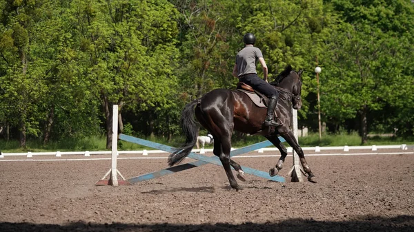 Giovane Cavaliere Cavallo Marrone Competizione Sportiva Equestre Passeggiata Cavallo Nell — Foto Stock