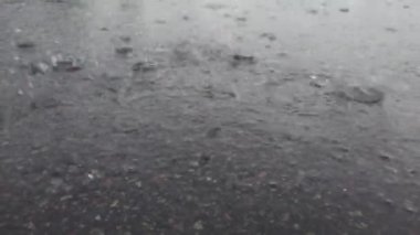 Yakın planda asfalta düşen yağmur damlaları, mevsimsel sonbahar, yaz ya da bahar yağmurları. Atmosferik bir fenomen. 4K