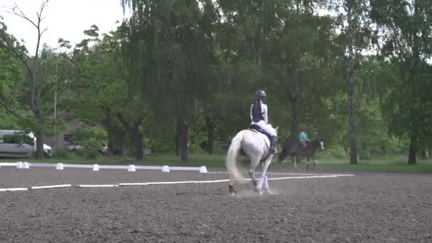 Menina Cavaleiro Cavalo Branco Competição Desportiva Equestre Equitação Arena Teste — Vídeo de Stock