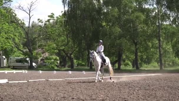 Meisje Ruiter Wit Paard Paardensport Wedstrijd Paardrijden Arena Dressuurproef Paardensportwedstrijden — Stockvideo