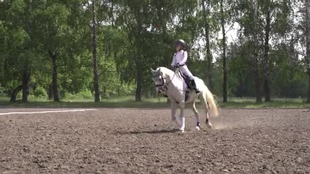 Meisje Ruiter Wit Paard Paardensport Wedstrijd Paardrijden Arena Dressuurproef Paardensportwedstrijden — Stockvideo