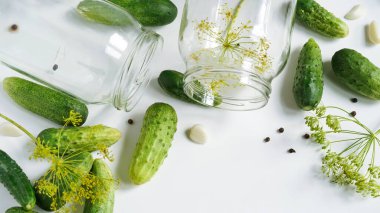 İki cam kavanoz, taze salatalık, dereotu, sarımsak ve karabiber beyaz tabakta, üst görünümde, düz yerde, kopyalama alanında. Konserve, turşu ya da fermentasyon sebzeleri için malzemeler. Ev yapımı salatalık tarifi.