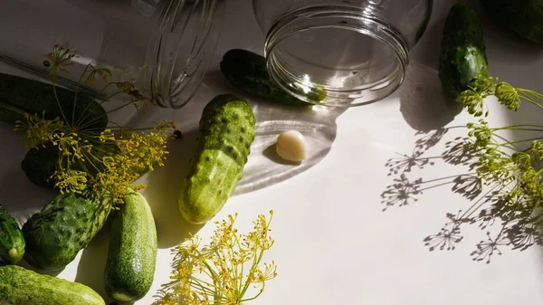 Frascos Vidrio Pepinos Frescos Eneldo Ajo Pimienta Negra Plato Blanco —  Fotos de Stock