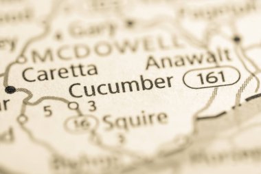 Cucumber. West Virginia. USA clipart