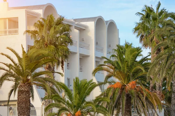 white stone hotel standing among palm trees. Great holiday, vacation in Tunisia. The concept is the meeting of the new year in a warm country, rest for the whole family