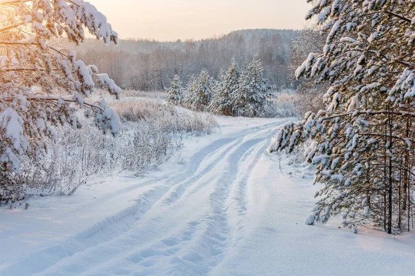 Winter, lonely, impassable snow-covered road leading into the forest. Winter landscape, sun rays, snow-covered trees. Horizontal photo. Stock Photo