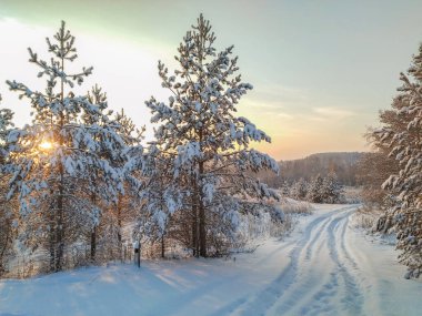 Geçilemez bir kar yolu görülebilir. Ağaçlar karla kaplı, güneş ışınlarının içinden geçtiği dallar boyunca. Güzel, sakin, soğuk doğa. yatay resim.