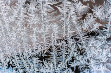 Muhteşem, tuhaf bir buz kalıbı cam üzerinde, dallar içinde. yatay fotoğraf, yakın plan, yumuşak, seçici odak.