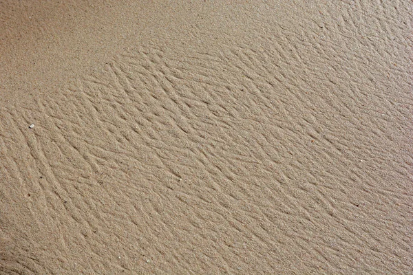 Wet Sea Sand Close Concept Background Creativity Place Text Horizontal — Foto de Stock