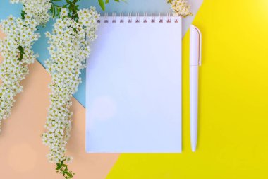 Beyaz bir not defteri ve pastel arka planda beyaz bir kalem var. Sarı, mavi, bej arkaplan. Beyaz çiçeklerden bir dal. Yatay fotoğraf. Boşluğu kopyala, düzleştir.