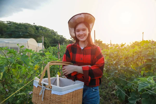 Asiatiska Kvinnor Jordbruk Med Utrustning Som Arbetar Åkrar — Stockfoto