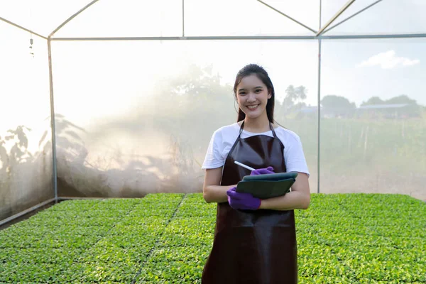 Mulheres Asiáticas Agrícolas Usando Tablet Para Trabalhar Campos Agrícolas — Fotografia de Stock