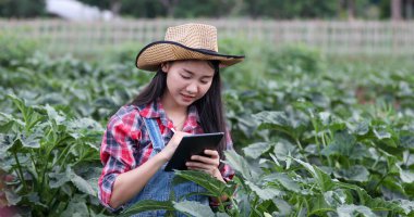 Asya kadın Agronomist ve çiftçi Tarım ve organik sebze Alanında teftiş için Teknoloji kullanma