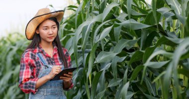 Asyalı kadın Tarım ve Çiftçi Tarım Mısır Tarlası 'nda Tarım Teknolojisini Denetlemek İçin Kullanıyor