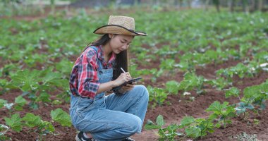 Asya kadın Agronomist ve çiftçi Tarım ve organik sebze Alanında teftiş için Teknoloji kullanma