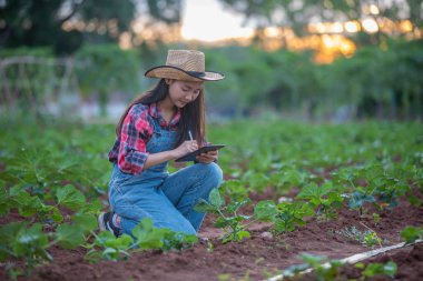Asya kadın Agronomist ve çiftçi Tarım ve organik sebze Alanında teftiş için Teknoloji kullanma