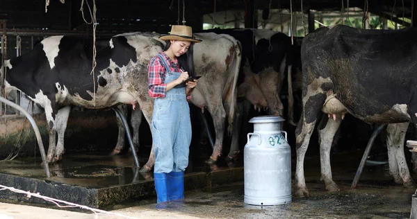 Asiatische Bäuerinnen Und Agrarindustrie Und Tierhaltungskonzept Junge Frauen Oder Bäuerinnen — Stockfoto