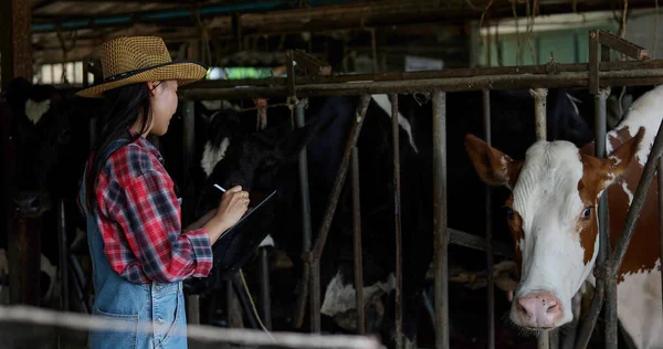 Asiatische Bäuerinnen Und Agrarindustrie Und Tierhaltungskonzept Junge Frauen Oder Bäuerinnen — Stockfoto