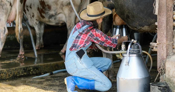 Asian Women Farming Agriculture Industry Animal Husbandry Concept Young Women — Stock Photo, Image