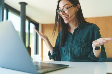 Evde dizüstü bilgisayarla çalışan iş kadını portresi.