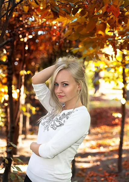 Blonde model smiling on the autumn background — Stock Photo, Image