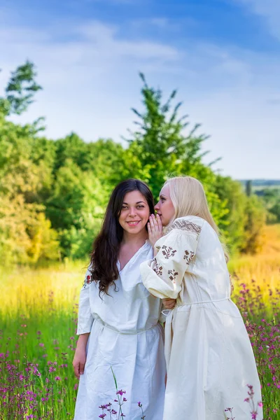 Deux filles ukrainiennes en costumes nationaux à la prairie de fleurs — Photo