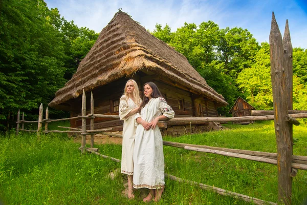 Two young woman in ukrainian national costumes — Stock Image Two young woman in ukrainian national costumes Royalty Free Stock Images