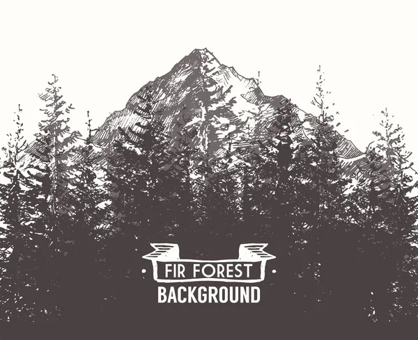 Bosque de abeto montaña dibujado vector ilustración — Vector de stock