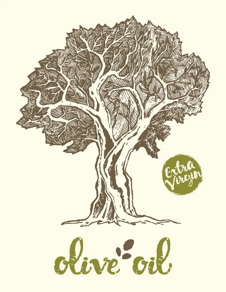 手描きのオリーブの木 — ストックベクタ