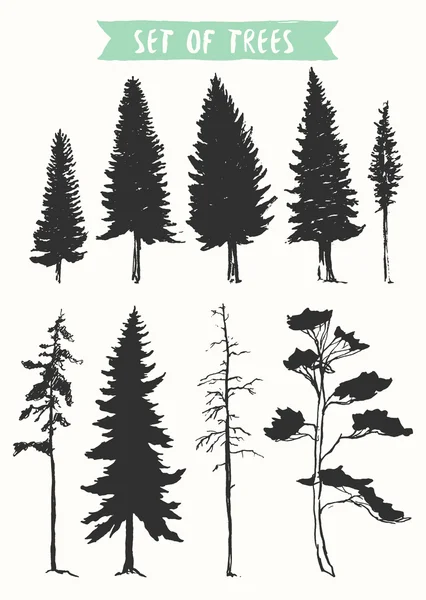 Hand drawn vector silhouette pine and fir trees — Stock Vector