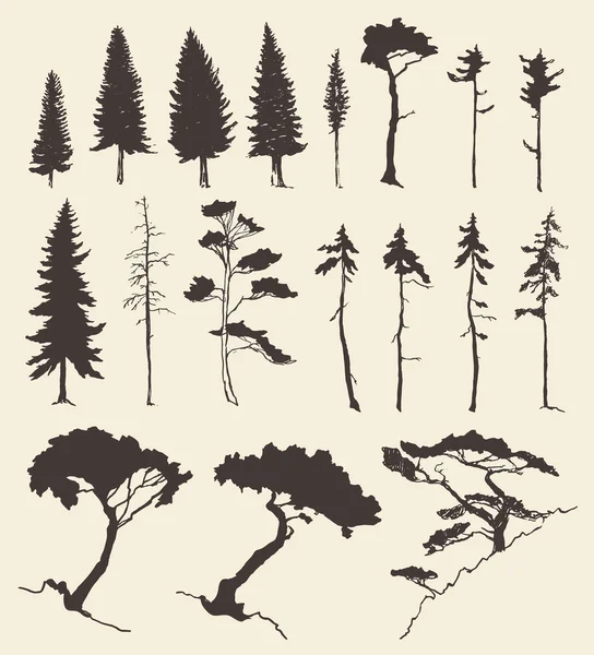 Ensemble d'arbres, illustration vintage, dessin à la main — Image vectorielle