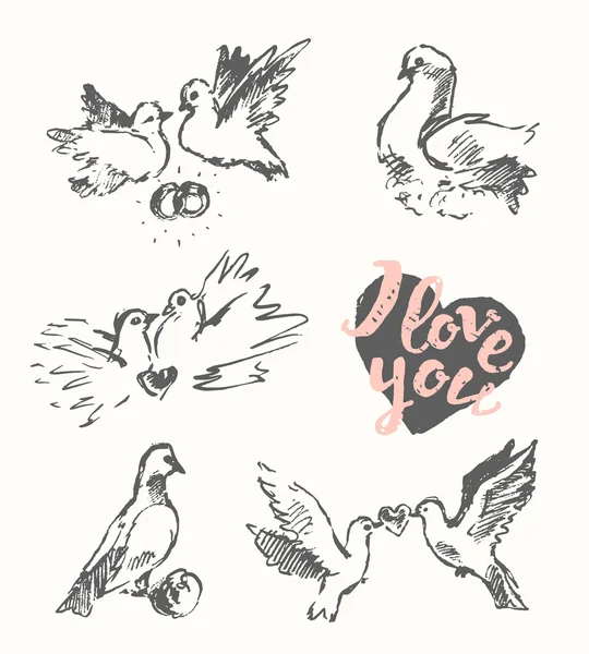 Tažené svatební holub lásku symbolem vektor skica — Stockový vektor