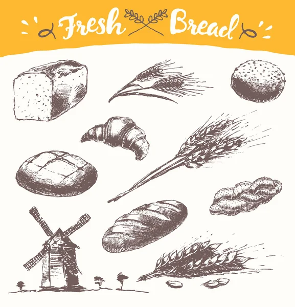 Set pan fresco ilustración dibujada trigo Vector — Archivo Imágenes Vectoriales
