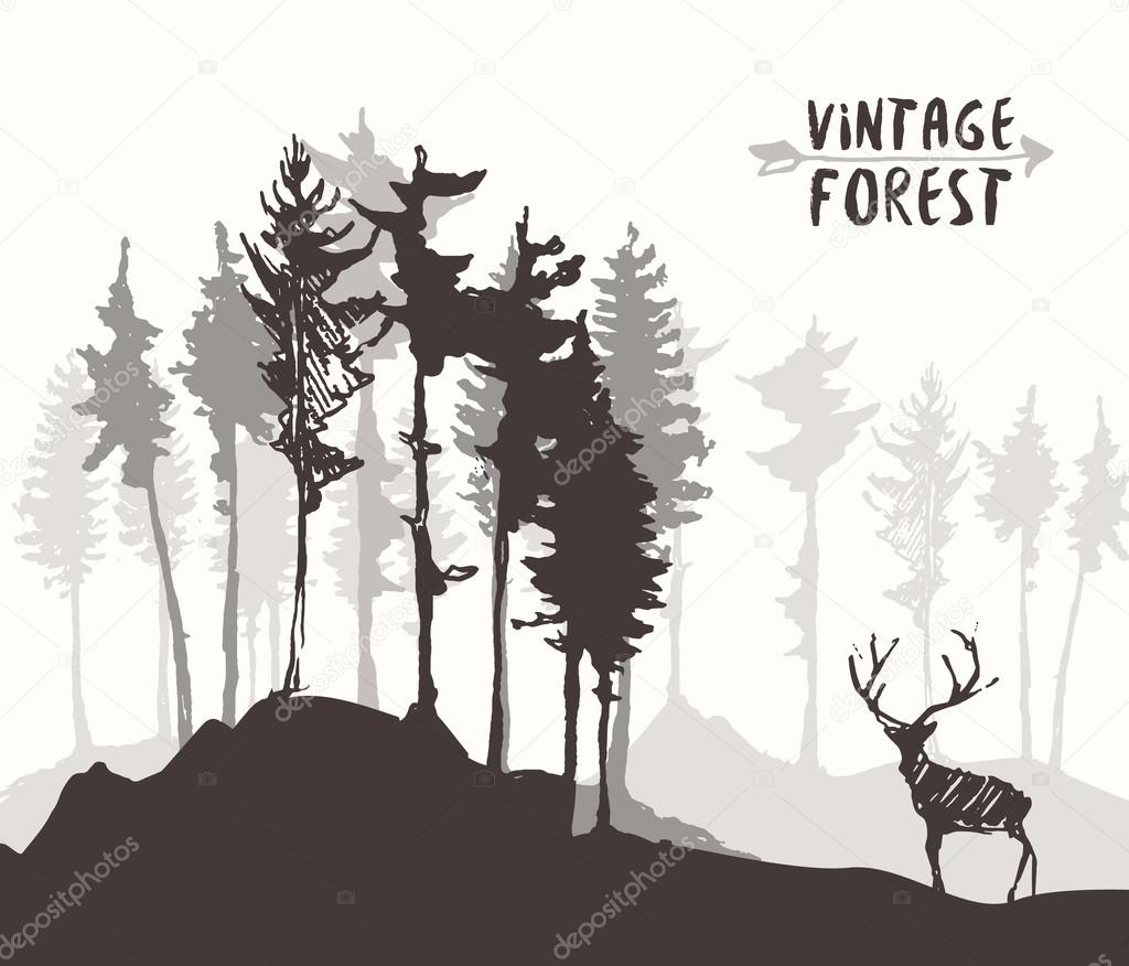 How To Draw A Pine Tree Forest Forest Design Pine Tree Deer Drawing Vector Sketch Stock Vector C Grop