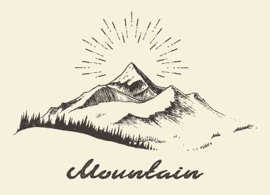 Çam ormanı dağ çizilmiş vektör çizim