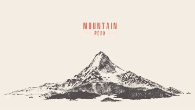 Vector mountain peak pine forest hand drawn clipart