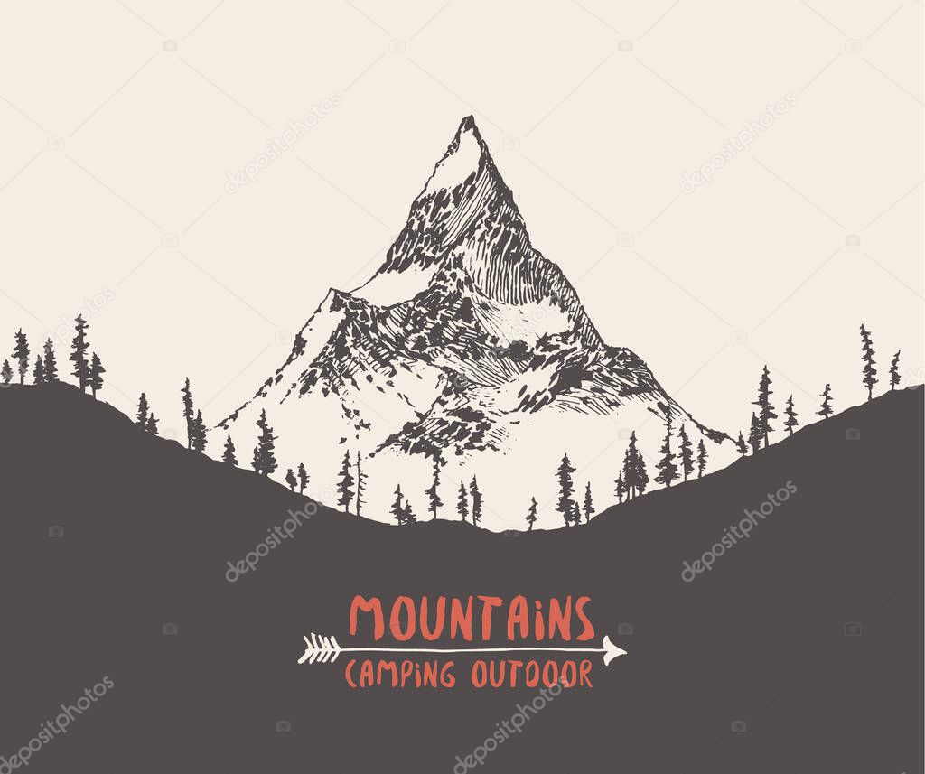 Vector illustration of a mountain peak with pine forest, engraving style, hand drawn