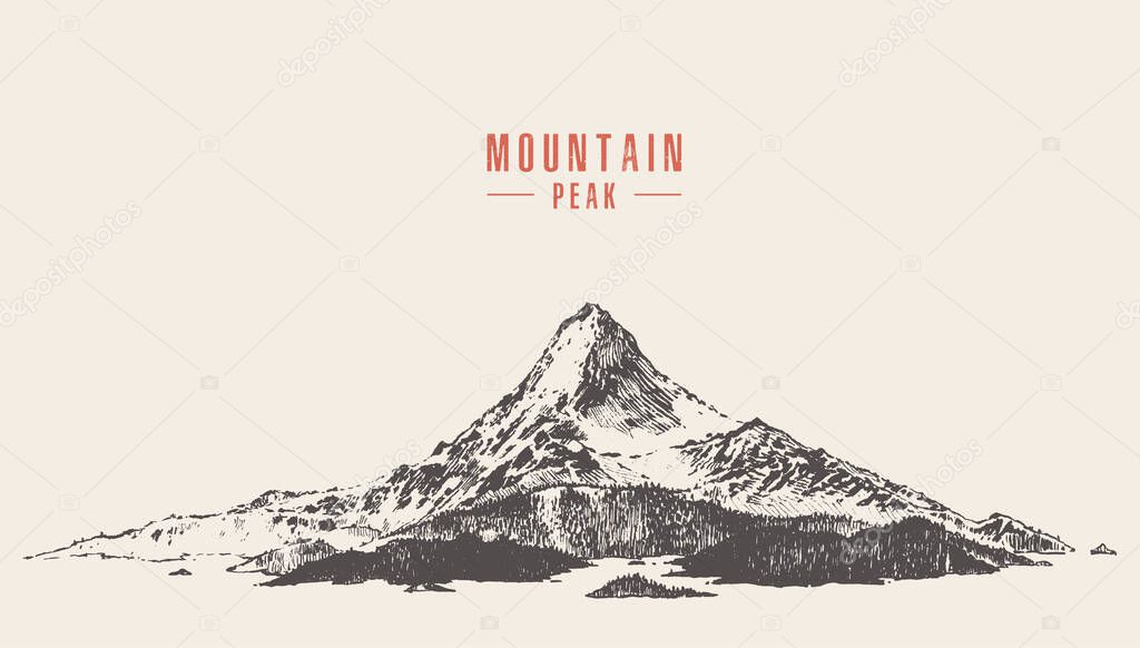 Vector illustration of a mountain peak with pine forest, engraving style, hand drawn