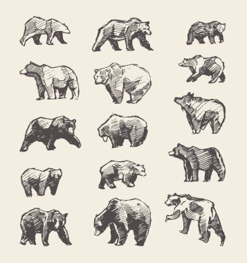 Çizilmiş yabani biralar, vektör illüstrasyonu, çizim