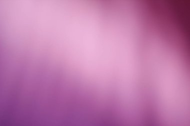 Gerçek gölge palmiye ağacı arka plan pembeye boyanıyor