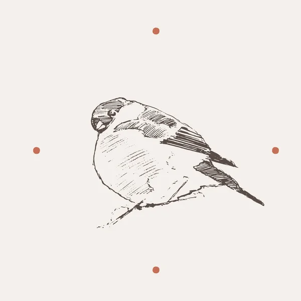 Bullfink fågel God Jul nyår vektor — Stock vektor