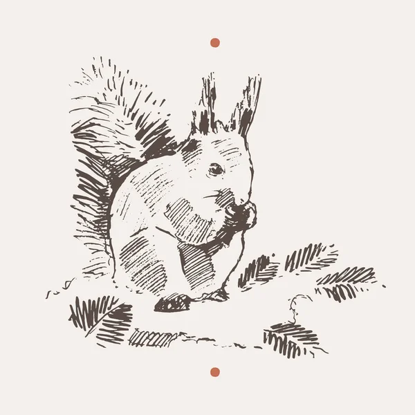 Eichhörnchen Frohe Weihnachten Karte Neujahr Karte Vektor — Stockvektor