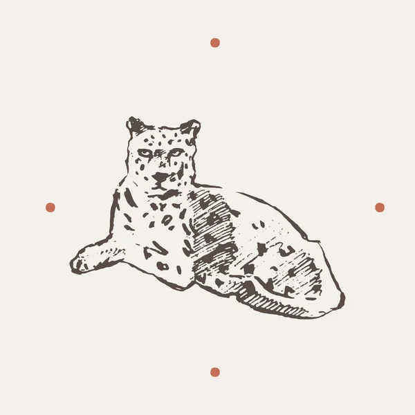 Реалистичная иллюстрация леопарда. Нарисовал вектор — стоковый вектор