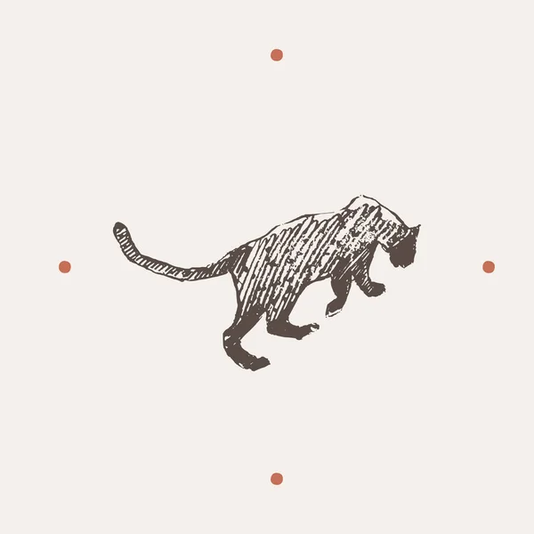 Illustrazione realistica del leopardo. Disegnato un vettore — Vettoriale Stock