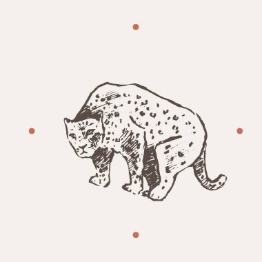 Leoparın gerçekçi bir tasviri. Bir vektör çiz